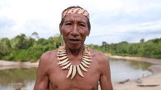 Nestor Bina  I am a true Matsés [upl. by Yhtomot]