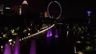 Singapore  Gardens By the Bay and the City at Night [upl. by Dleifxam900]