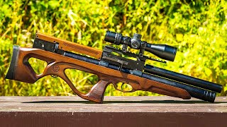 TOP 10 BEST AFFORDABLE AIR RIFLES 2024 [upl. by Einwahs]