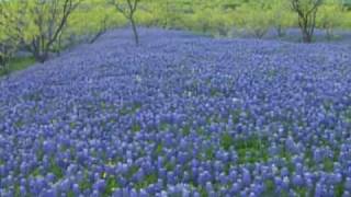 Keep Texas Wild Blackland Prairie [upl. by Nilyaj129]