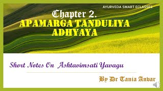 Chapter 2 Apamarga Tanduliya Adhyaya  Short Notes On Ashtavimsati Yavagu  AIAPGETAMOPSCBAMS [upl. by Ocicnarf]