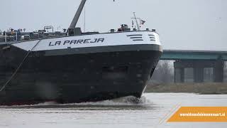 Binnenvaartschip La Pareja bij hoog water op rivier Lek  Binnenvaart  scheepvaart [upl. by Eissert]