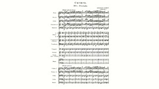 Bizet Carmen complete with Score [upl. by Hairym]