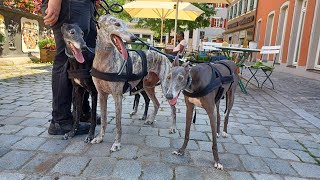 Stadtrundgang Feuchtwangen [upl. by Rep]