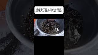 螞蟻魚子醬為何如此昂貴科普 漲知識 [upl. by Stag]