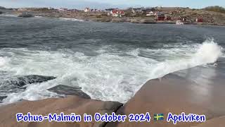 BohusMalmön ‼️October 2024 🇸🇪Apelviken beachlife nature therapy nyheter newvlog [upl. by Yreva]