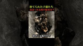 ㊗️20万回再生！可哀想な子猫たちと出会った女性の結末は！？ 動物 感動 animals [upl. by Yecnuahc56]