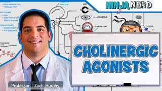 Autonomic Pharmacology  Cholinergic Agonists [upl. by Pierette958]