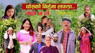 घाँसको निहुमा लफडा IIGaro Chha HoII Epi 220IISept 16 2024 IIBegam Sundari Nawina Binod Rajkumar [upl. by Notsyrb]