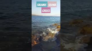 Porto Salamis SELINIA BEACH ΣΑΛΑΜΙΝΑ ROCKS SEASWIMMING PEACE Greek summer Griechenland [upl. by Morrell]