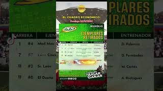 EL CUADRO ECONÓMICO para el hipódromo La Rinconada Suerte y FIEBRE HÍPICA 🏇🏆pronosticos [upl. by Navanod]