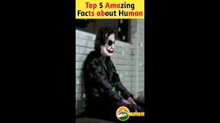 Top 5 Amazing Facts about Human ep2 fact facts factshort facthuman amazing facts [upl. by Delcina]