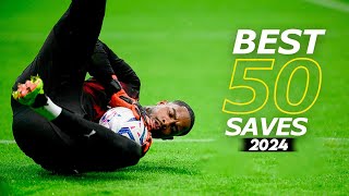 Best 50 Goalkeeper Saves 2024  HD 16 [upl. by Felisha]