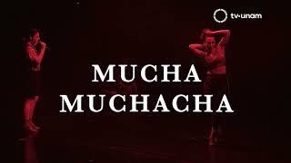 DID2023 MUCHA MUCHACHA [upl. by Yrak]