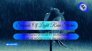 4K RELAX  Light Rain Storm with tunes of ROBERT MUNZINGER  BLUE MOOD [upl. by Oiramat381]