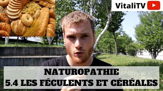 COURS NATUROPATHIE 54 LES CÉRÉALES ET FÉCULENTS féculents naturopathie [upl. by Aisats]