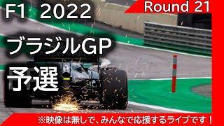 F1 2022 第21戦サンパウロGP 予選を見ながら応援ライブ雑談 映像なしの雑談トーク [upl. by Bondon]