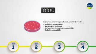 How BIOFIRE® FILMARRAY® Pneumonia plus Panel Revolutionizes Diagnosis [upl. by Emylee]