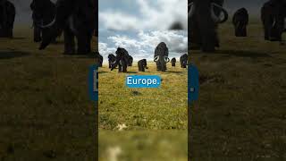 The end of the Mammoths Golden Age documentary mammoth [upl. by Leonore]