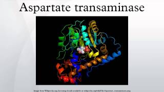 Aspartate transaminase [upl. by Helm631]