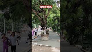 Durbar Marg Kathmandu Brand New Fooothpath after Balen Action 2024 [upl. by Waylan]