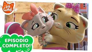 44 Gatos  Latinoamérica  Pilou cuida gatitos EPISODIO COMPLETO [upl. by Phoebe]