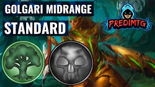 GOLGARI MIDRANGE DAS BESTE NEUE DECK IM STANDARD STANDARD [upl. by Calvano]