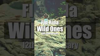 Wild Ones feat Sia  Flo Rida  10hitbox shorts [upl. by Engeddi]