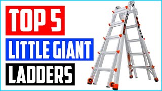 Top 5 Best Little Giant Ladders in 2021 [upl. by Ibrik642]