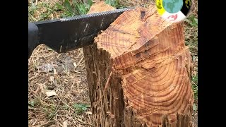 Two of the best in Southern Sap Missouri vs Georgia pine lighter pine knot fatwood [upl. by Ahtoelc942]