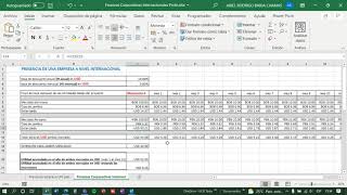 Finanzas Corporativas Internacionales VAN TIR Tutorial 4 [upl. by Ramgad]