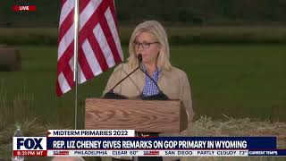 Liz Cheney blasts Trump after conceding in Wyoming Primary election  LiveNOW from FOX [upl. by Earvin]