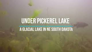 Under Pickerel Lake SD [upl. by Ecinerev]