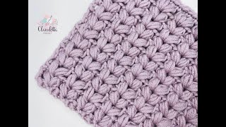 This Crochet Stitch Might Just Become Your New Favorite – Watch and Learn [upl. by Trinia612]