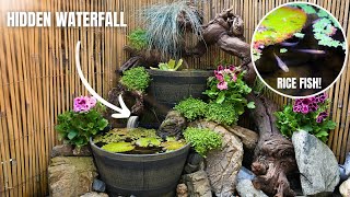 EASY DOUBLE BARREL MINI POND FOR RICE FISH AND GUPPIES Step by Step Tutorial [upl. by Liam]