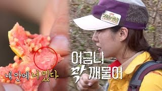 SUB 전혜빈 김병만의 ‘몰카’로 ‘구더기’ 먹은 후 발끈 “팍씨” 정글의 법칙 206회 20160325 [upl. by Polloch822]