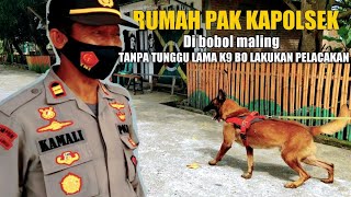 Tiba tiba Di dadak Diminta melacak jejak pencuri pawang K9 sampai lupa pakai sepatu dan Seragam [upl. by Enilarac]