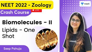 Biomolecules II  Lipids  One Shot  Seep Pahuja  Unacademy NEET  NEET 20222023 [upl. by Gean67]