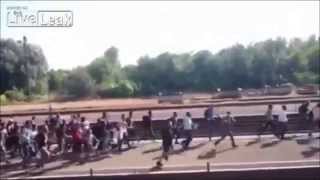 Rioting Immigrants throw rocks on Hungarian train workers [upl. by Esther]