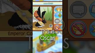 Animal Jam Rare Secret Account [upl. by Frentz905]