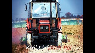 Zetor 6211 Król Łódzkich Pól  Agregatowanie na 3 biegu  Zetor nie wymięka  Sound [upl. by Yemaj431]