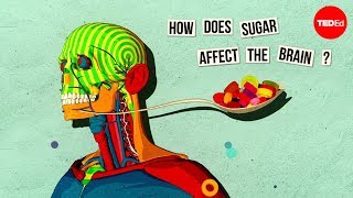 How sugar affects the brain  Nicole Avena [upl. by Esekram]