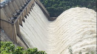 Srishailam Dam Gates Open 09082024 srishailam dam travel [upl. by Atiuqer273]