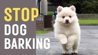 Sound To Stop Dogs Barking Not compatible with iPhone [upl. by Bouzoun]