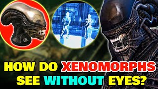 How Does Xenomorph Vision Work Without Any Eye Sockets  Explained [upl. by Ejroj]