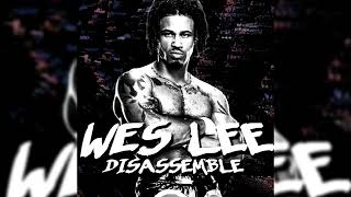 WWE Disassemble Wes Lee [upl. by Mcgannon340]