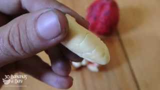 Quickest and Best Digesting Oil Salt amp Nut Free Raw Food Cheese Recipe [upl. by Enelegna]