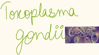 Toxoplasma gondii [upl. by Rehpotisrhc496]