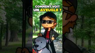 Comment voit un aveugle [upl. by Tann131]