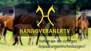 Hannoveraner TV Treffen wir die richtigen Anpaarungsentscheidungen [upl. by Aracaj]